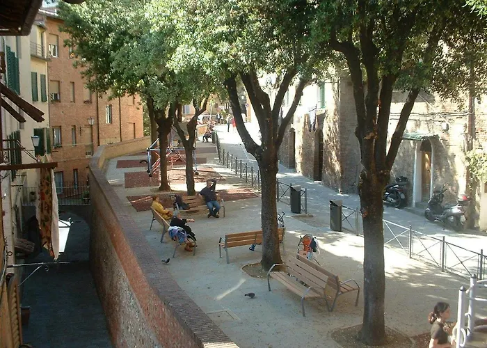 Il Campo