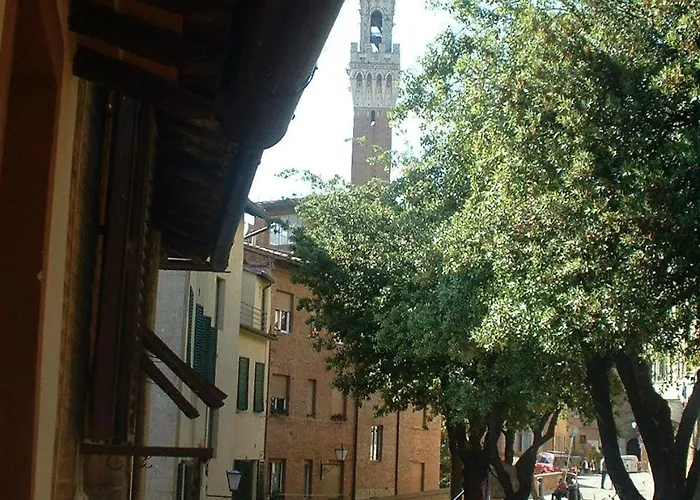 Il Campo